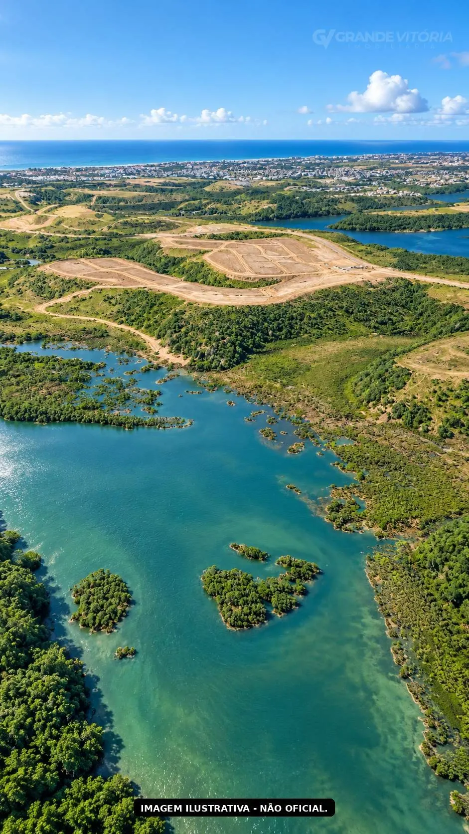 Lagoa e vegetação nativa vistas do alto — situação atual